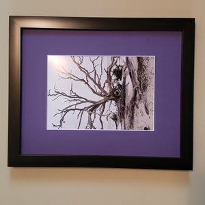 Framed Photo Driftwood Beach